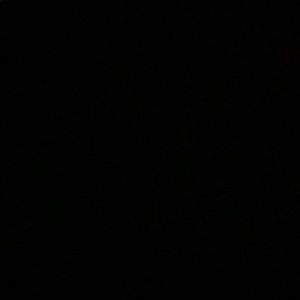 Meet your Posher, Bella